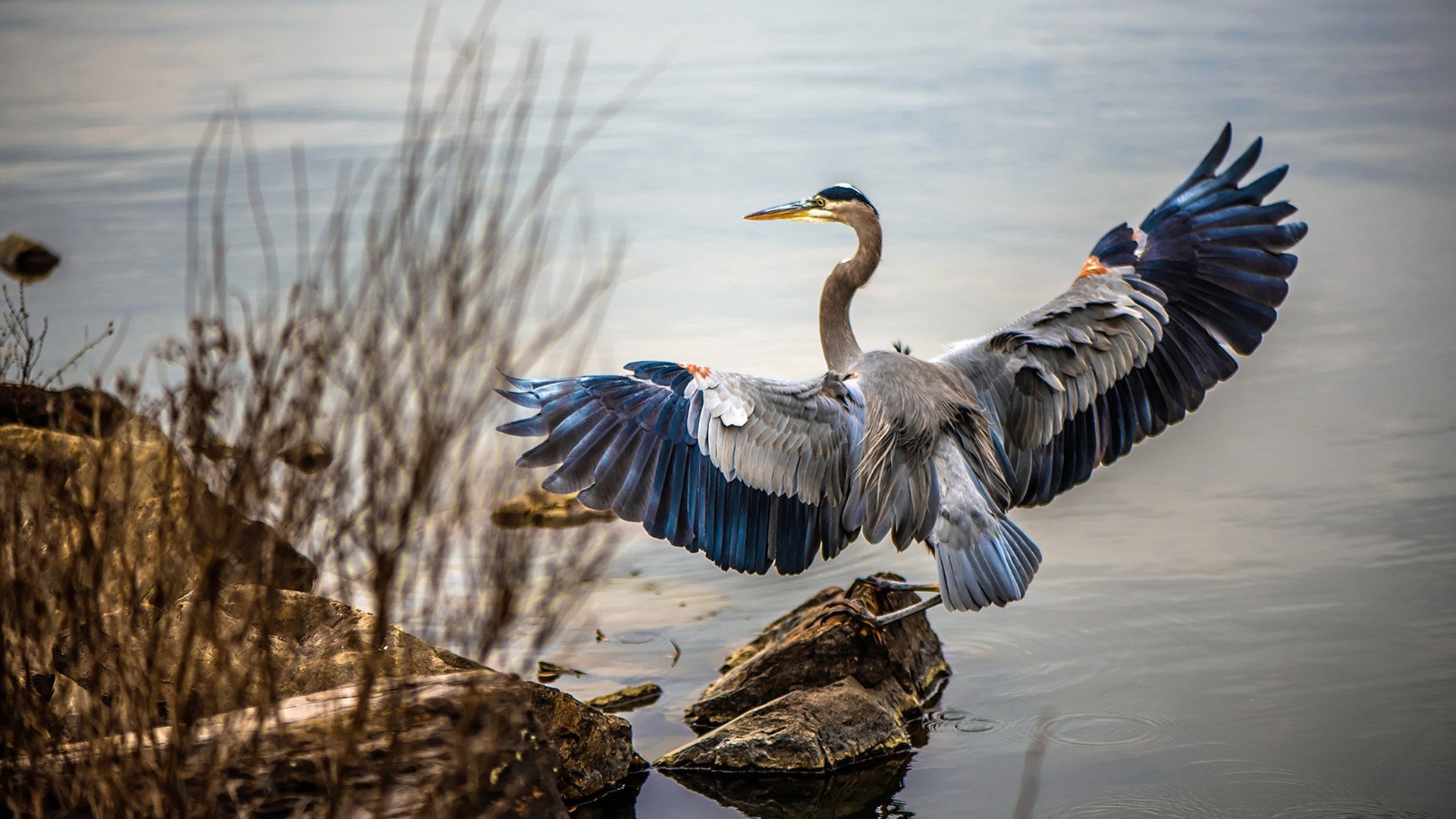 “德甲积分榜持续变换，豪强割据成主流”，德甲积分2020-2021