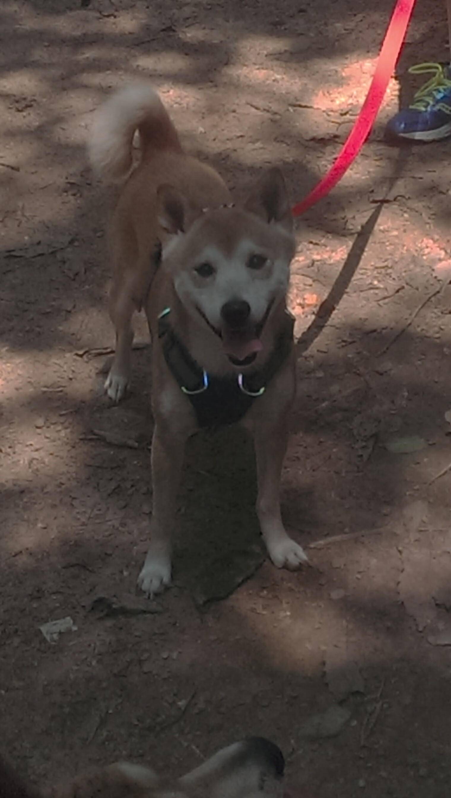 爱游戏在线登录入口-绝地求生“极限生存”全球特训营火爆开赛，绝地求生 全球