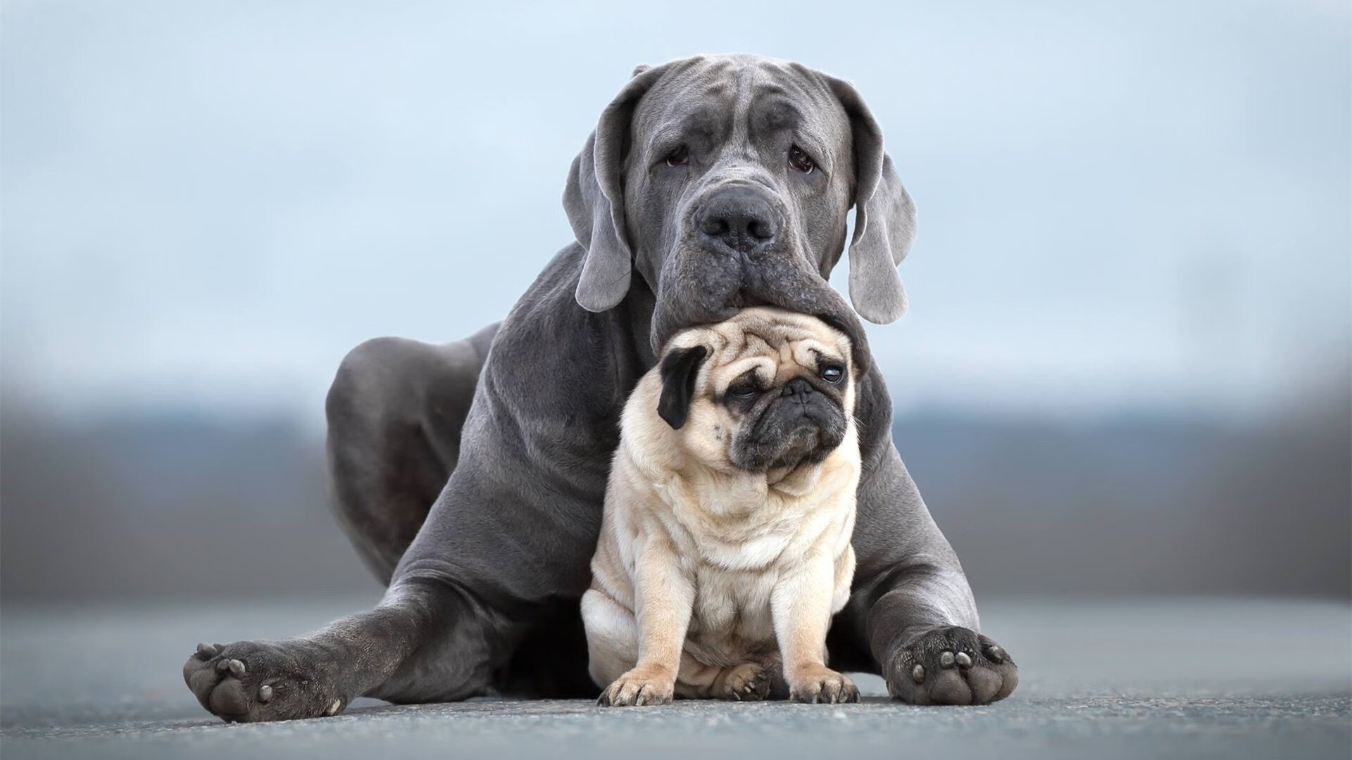 美国男足在巴黎奥运会比赛中以3-2战胜德国，美国男足 奥运会