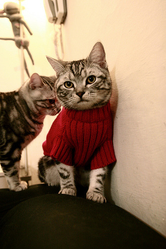 超级替补：欧冠逆转比赛中的隐藏英雄，欧冠史上最大逆转