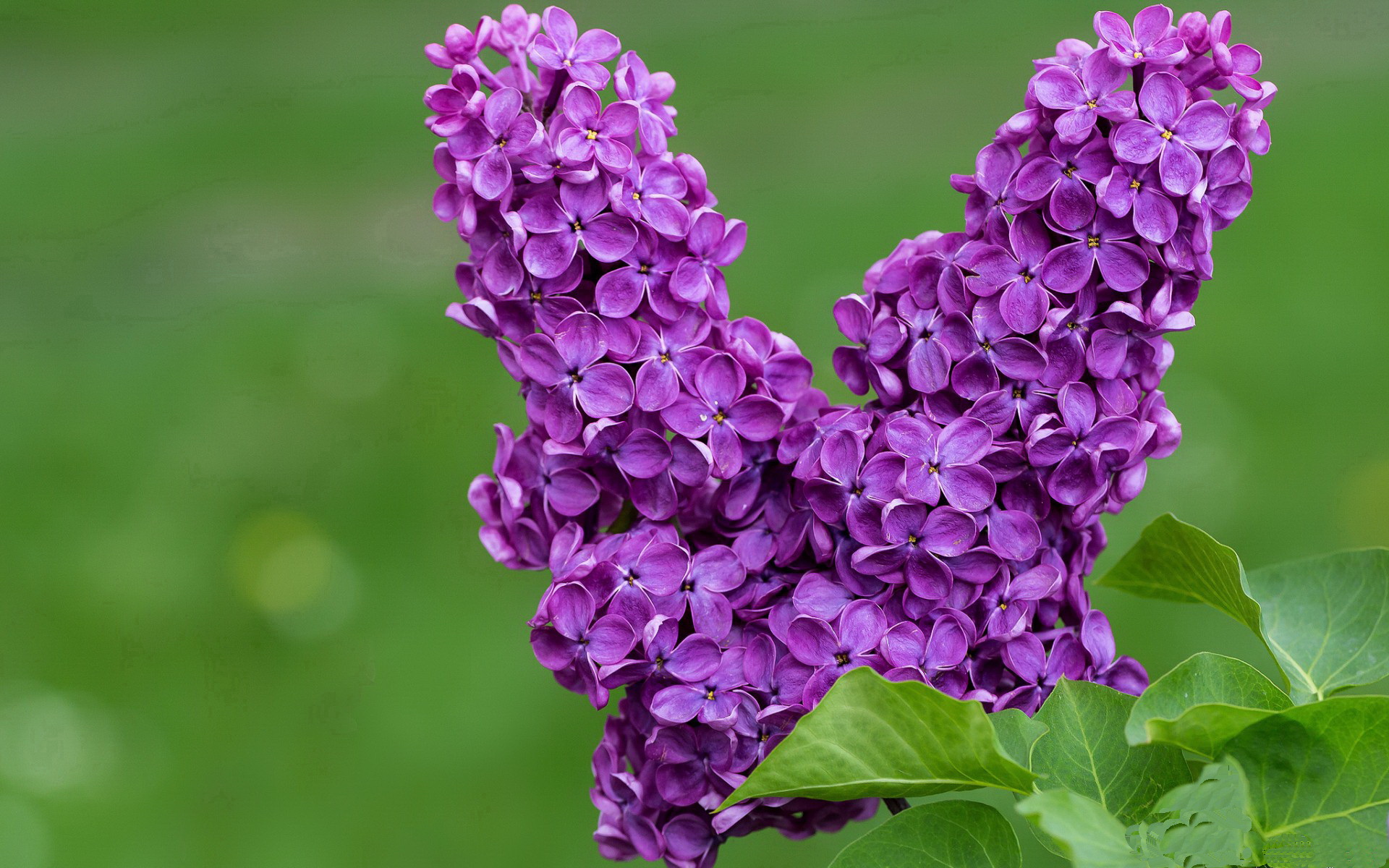 爱游戏娱乐平台-足球模拟比赛软件获得职业队采用，足球球队模拟app
