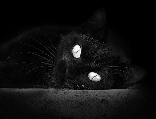 AIYOUXI.COM-利物浦报价万镑求购国际米兰射手马丁内斯，利物浦马德里竞技次回合