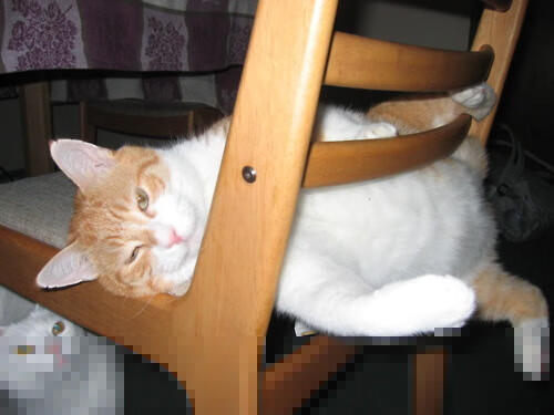 爱游戏登录入口-勒沃库森客场惨败，冠军梦想黯然失色，勒沃库森在哪个城市