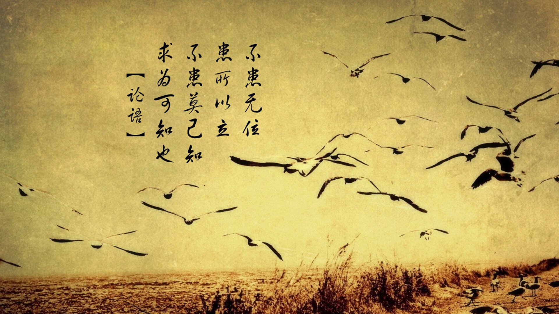 爱游戏官网-北美战队再战国际赛场，北美战队再战国际赛场视频