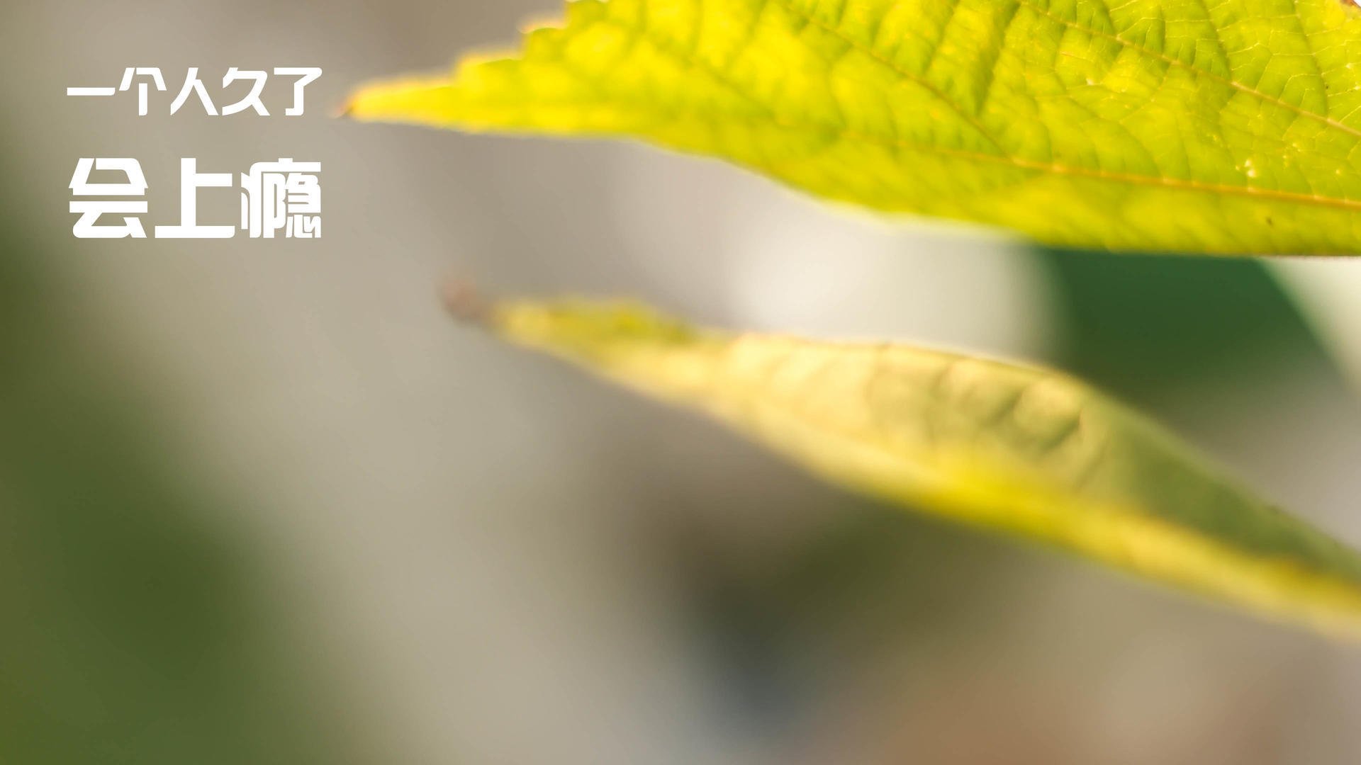 爱游戏娱乐-北京首钢战胜深圳男篮，继续胜利，北京首钢和深圳男篮现在比分是多少_