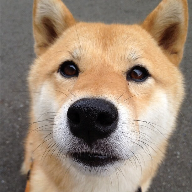 爱游戏在线登录入口-媒体关注女足发展，呼吁平等支持，女足面临问责