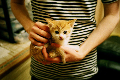 快船队负于国王，波特兰开拓者险胜尼克斯，快船对开拓者夏季联赛