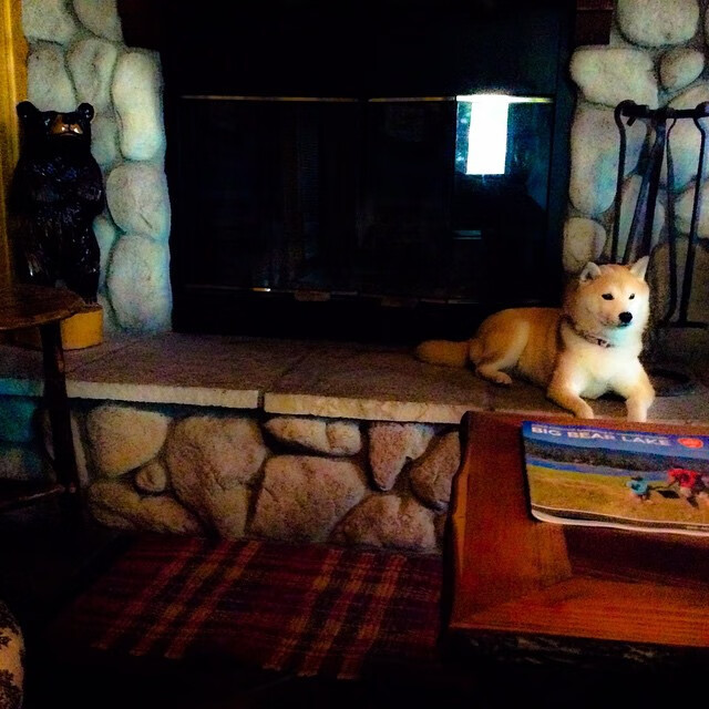 法拉利车队在摩纳哥大奖赛中夺冠，法拉利812摩纳哥蓝