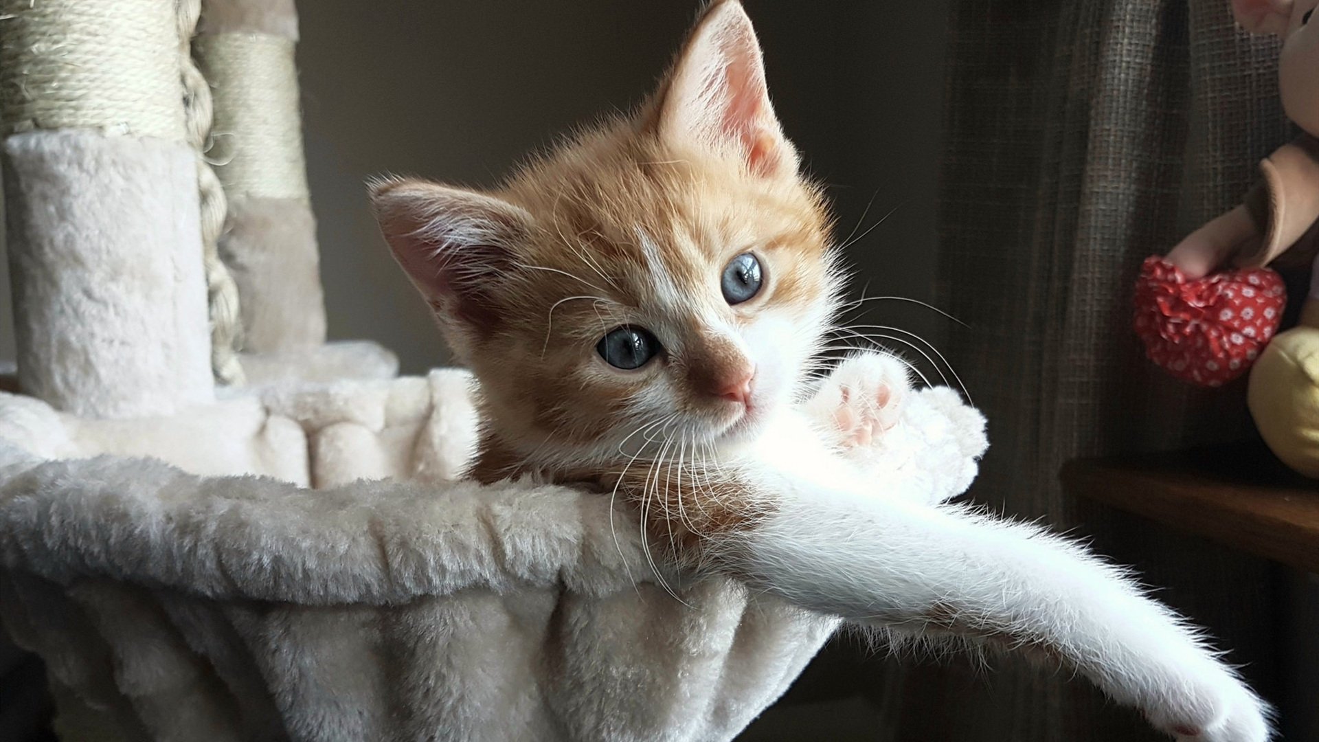 皇马门将成为罚点秀，多次扑点拯救全队，皇马守门