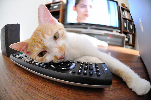 马德里竞技鏖战一场,不敌对手遗憾失利,马德里竞技赢了吗