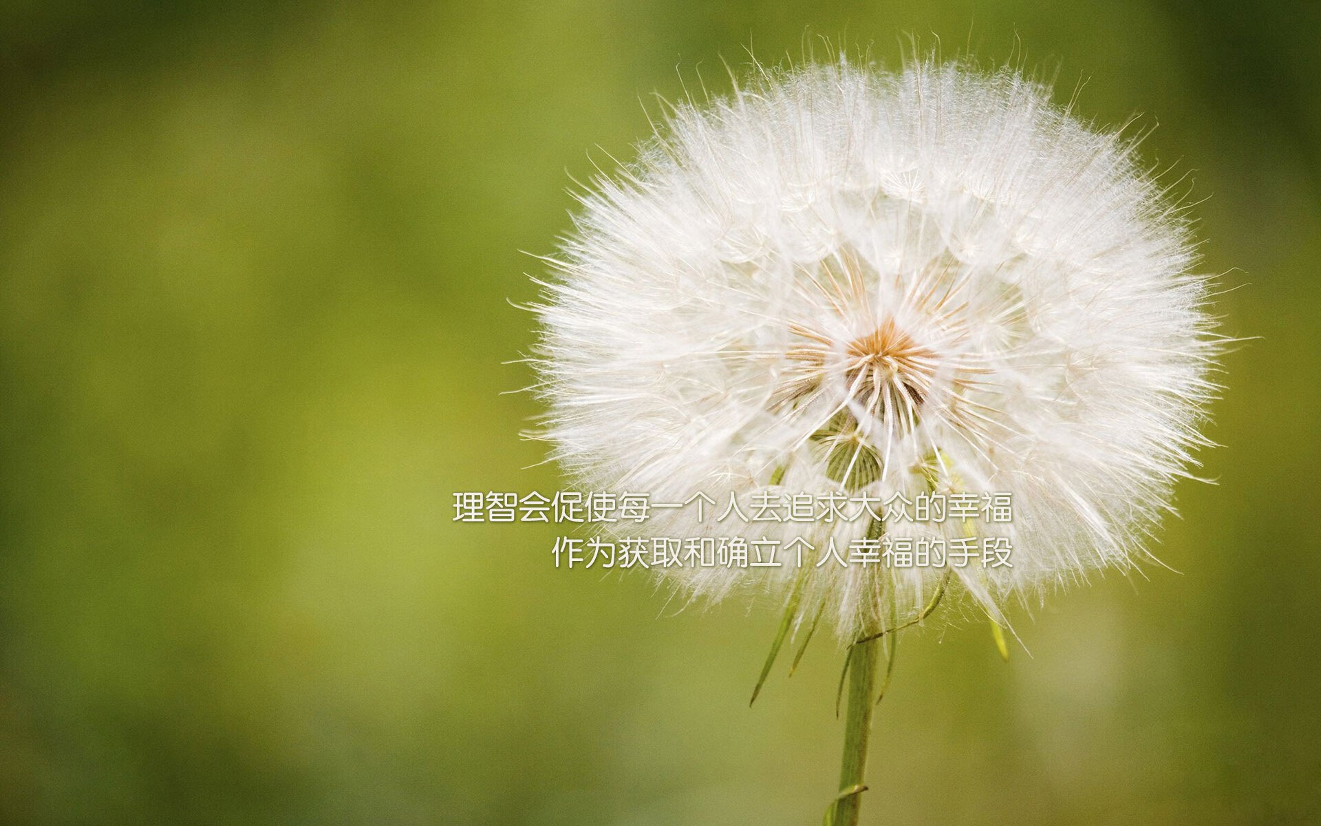 世界杯爆冷，卫冕冠军小组出局，世界杯冠军卫冕成功的球队