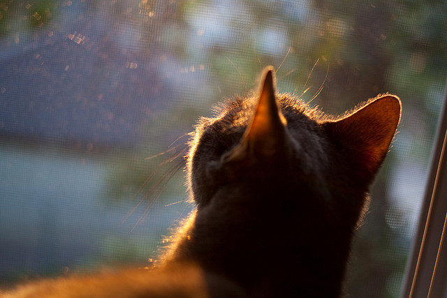 中国篮球联赛市场营销创新策略研究，篮球联赛方案策划书