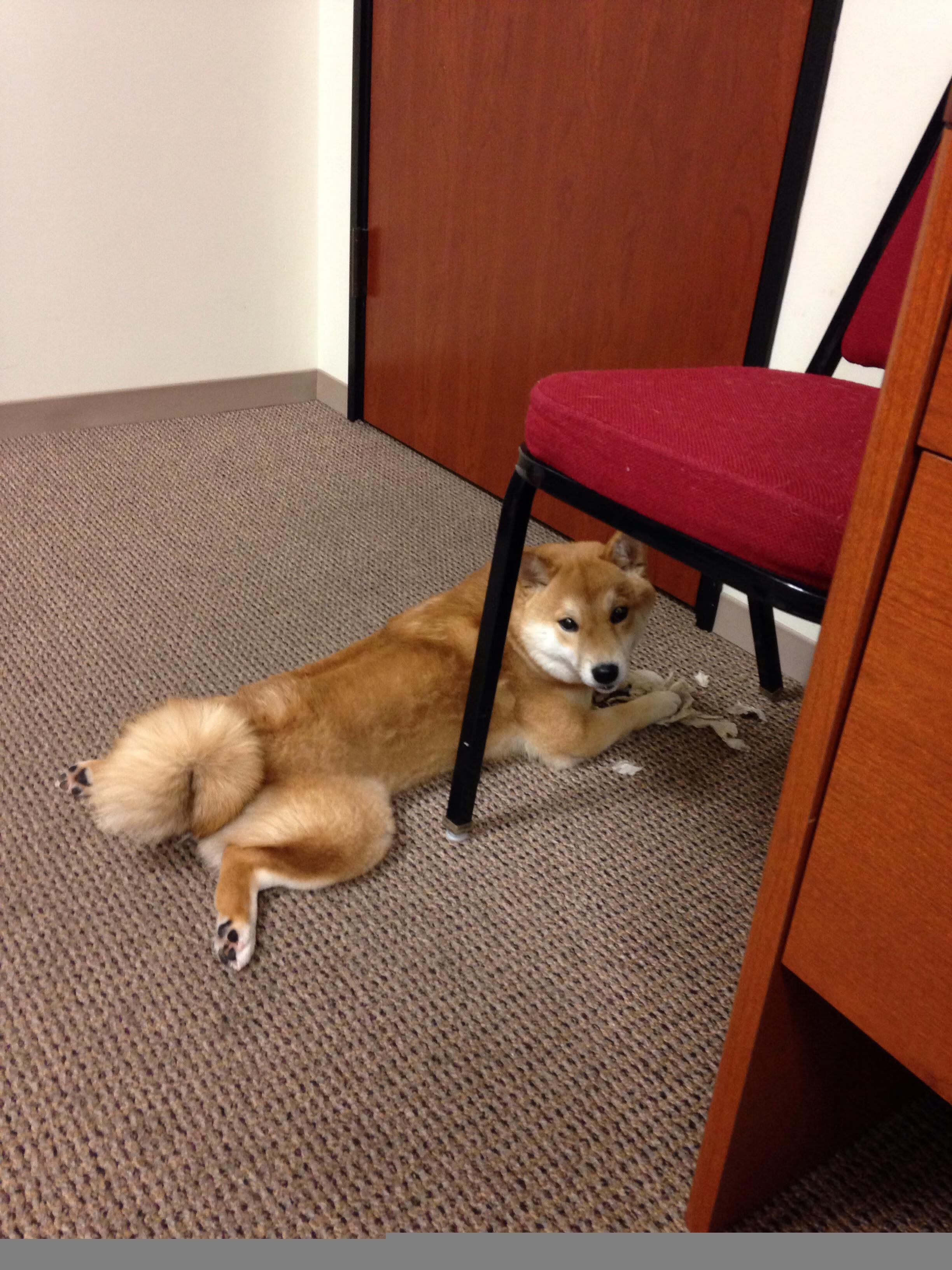 爱游戏体育官方网站-体育赛事安全管理体系，体育赛事安全管理体系包括