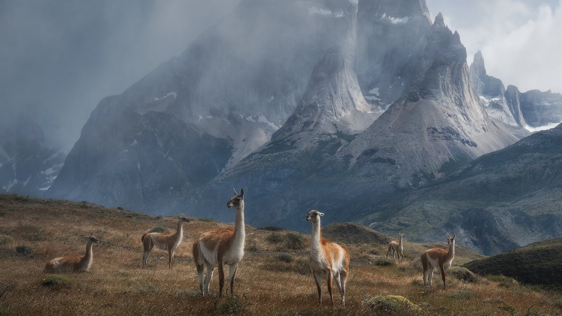 全国青少年攀岩挑战赛在广州圆满结束，2021年全国青少年攀岩锦标赛