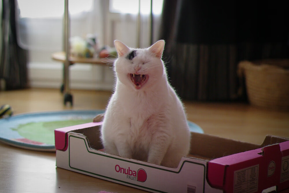 比赛节奏失衡阶段球队临场调整是否能有效逆转比分，比赛节奏是什么意思