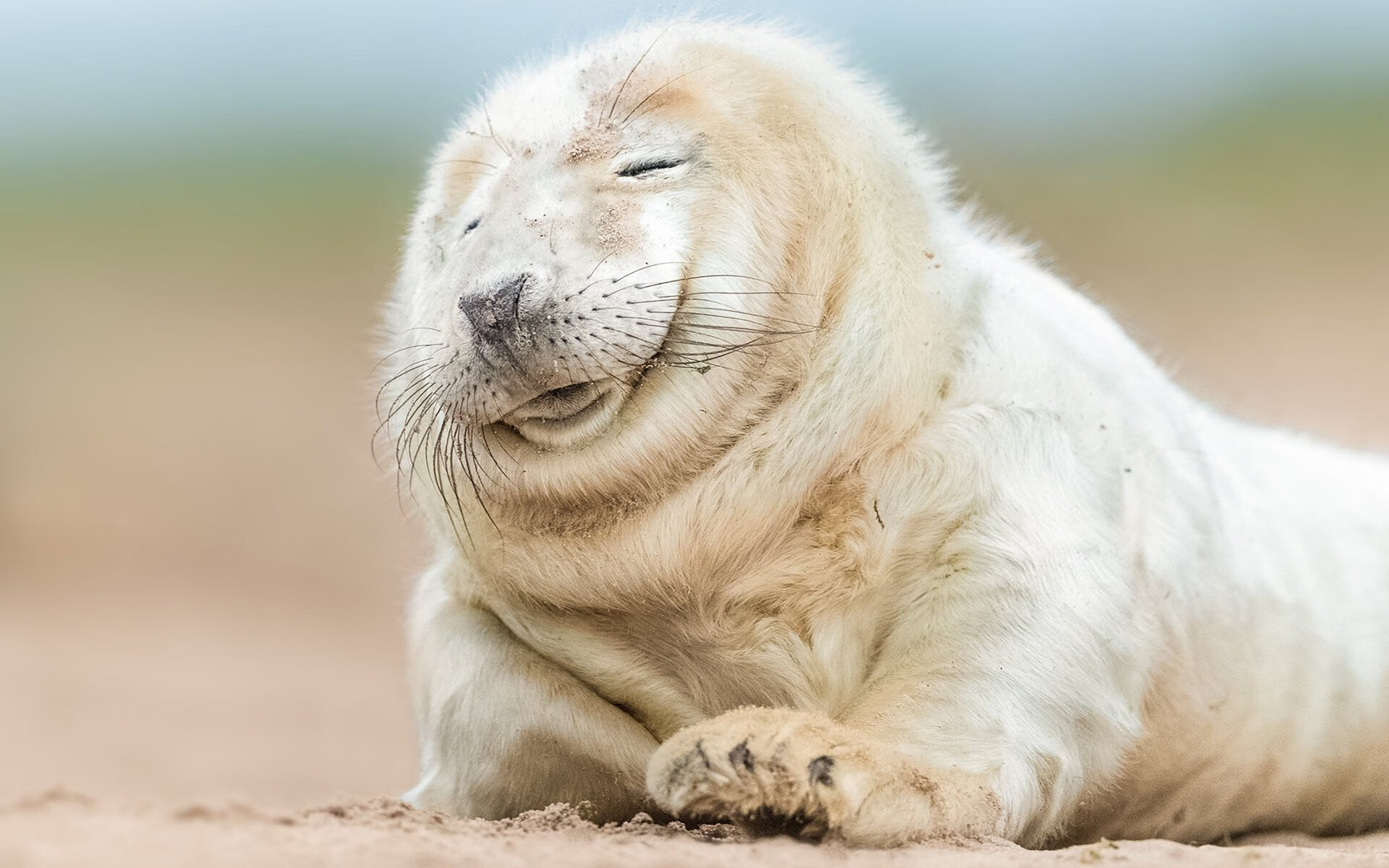 塔图姆连续抢断带动凯尔特人防守节奏，塔图姆签约凯尔特人