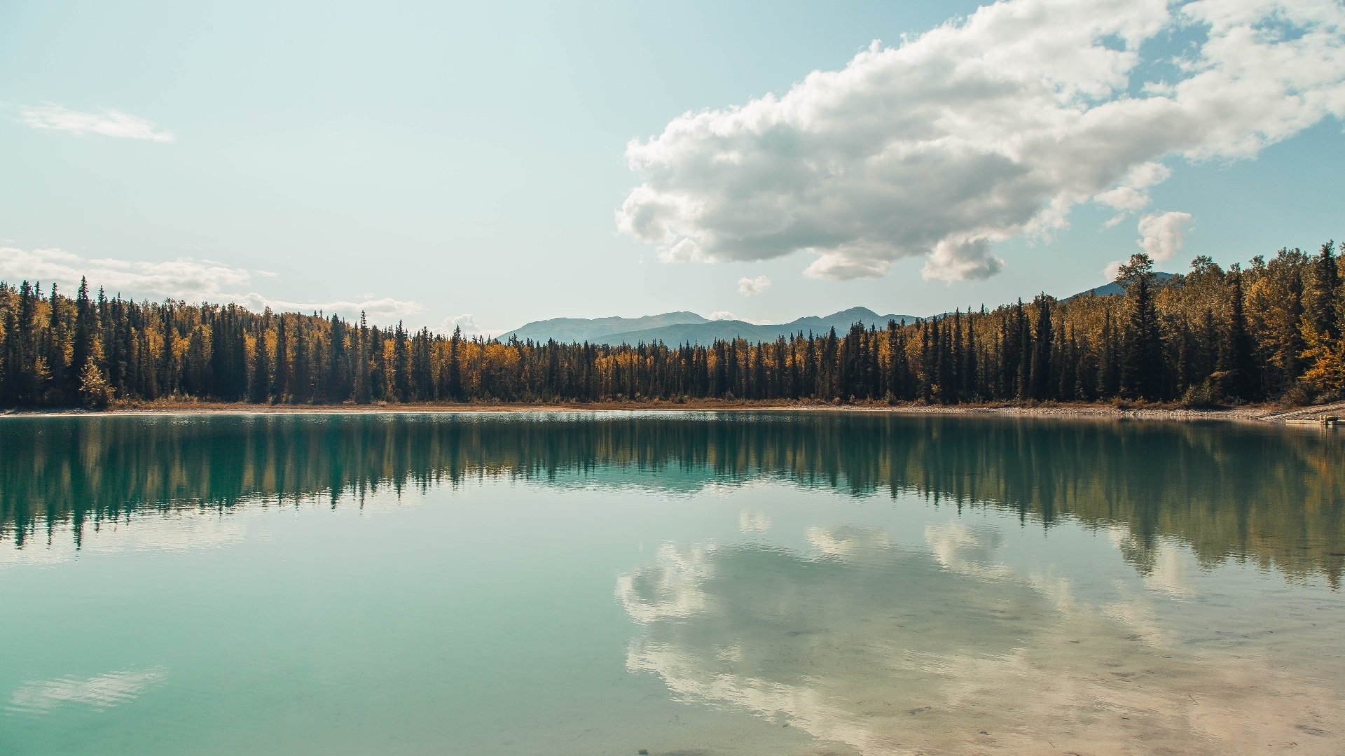 AYX体育官网-希腊男篮在欧洲锦标赛中再次夺冠，传统强队再续辉煌，希腊男篮进奥运了吗