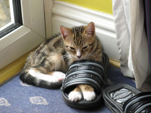 爱游戏体育-掘金换防策略奏效对抗强力掩护，掘金1-3逆转