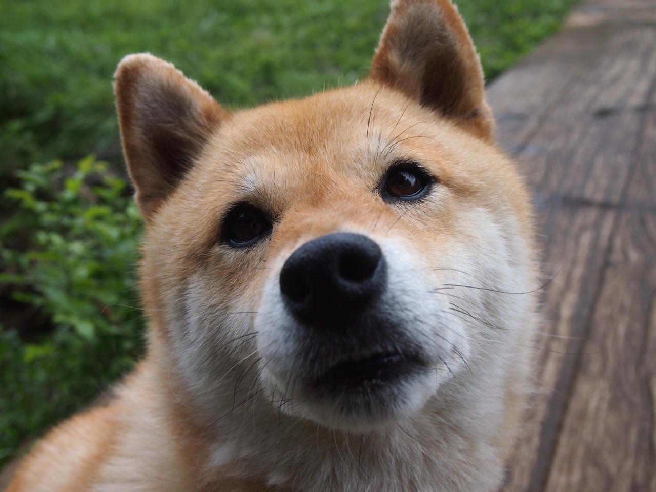 欧洲杯决战场：战术变化引领新潮流！，欧洲杯决赛赛前分析